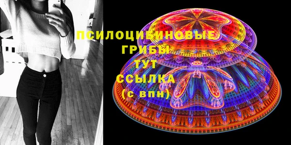 прущая мука Бородино