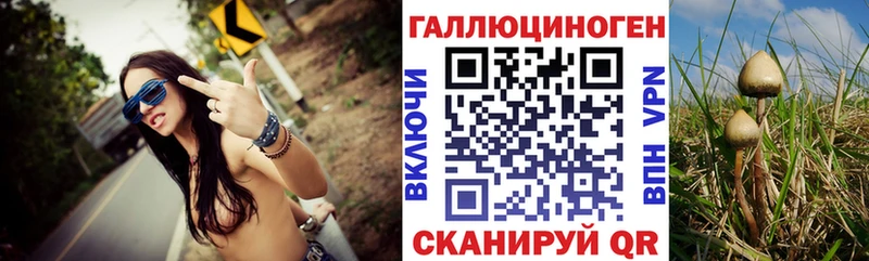 Псилоцибиновые грибы MAGIC MUSHROOMS дарнет шоп Лениногорск